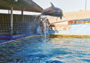 Seaworld
