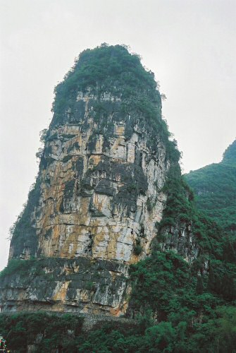 Viele Köpfe Viele Köpfe