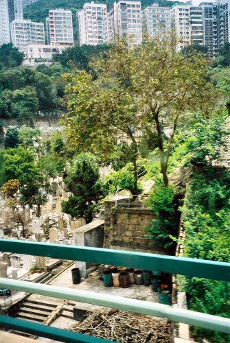 Etwas Grünes Etwas Grünes