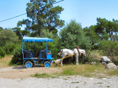 Pferdewagen