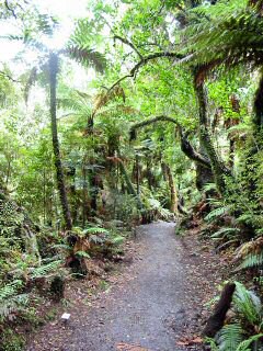 Weg zum Wasserfall