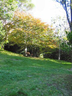 Botanischer Garten