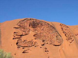 Sieht aus wie ein Gehirn