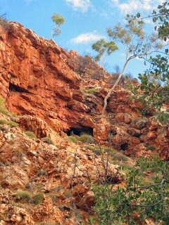 Red Bank George Walk