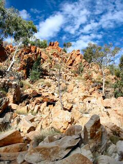 Red Bank George Walk