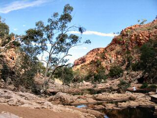 Wir nähern uns dem Wasserloch