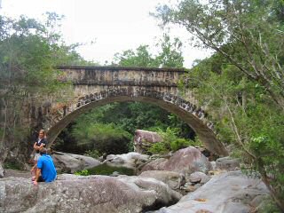 Brücke im Regenwald